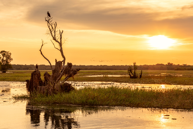 ScreenWorks brings regional crew routes to the Northern Territory